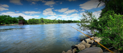 A serene river scene with a fishing rod by the shore, surrounded by lush greenery and a clear blue sky.