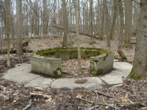 An overgrown, circular concrete structure surrounded by bare trees and fallen branches in a forested area.