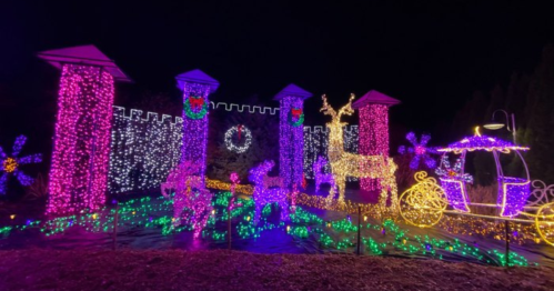 Colorful holiday lights illuminate a festive scene with reindeer, a carriage, and decorative pillars against a dark backdrop.
