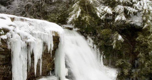 A frozen waterfall surrounded by snow-covered trees and icicles, creating a serene winter landscape.