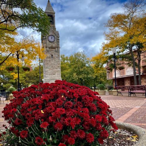 A clock tower stands in a park surrounded by vibrant autumn foliage and a cluster of red flowers in the foreground.