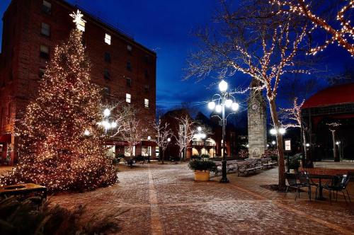 A festive plaza at night, featuring a decorated Christmas tree and twinkling lights on trees and buildings.