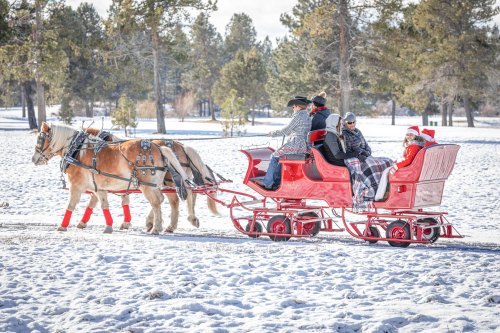 A festive horse-drawn sleigh carries passengers through a snowy landscape, surrounded by trees.
