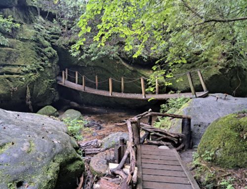 A wooden bridge spans a rocky creek, surrounded by lush greenery and moss-covered rocks in a serene forest setting.