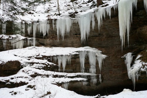 Icicles hang from a rocky cliff, surrounded by snow-covered ground and trees in a winter landscape.