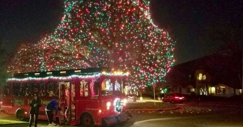 A festive trolley decorated with lights parked near a large, brightly lit Christmas tree at night.