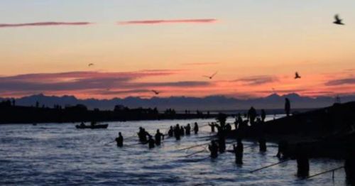 Silhouetted fishermen wade in water at sunset, with birds flying and a colorful sky in the background.