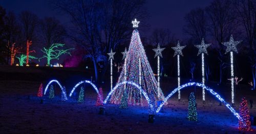 Colorful Christmas lights illuminate a tree and stars in a festive outdoor display at night.