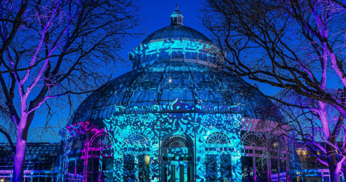 A glass conservatory illuminated with colorful projections, surrounded by bare trees against a twilight sky.