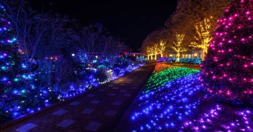 A vibrant nighttime scene with colorful lights illuminating trees and pathways in a festive display.
