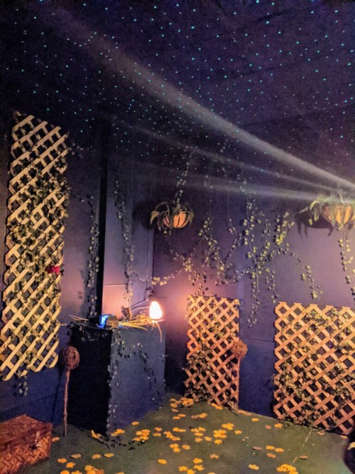 A cozy room with blue walls, hanging plants, lattice panels, and a starry ceiling, adorned with yellow flower petals.