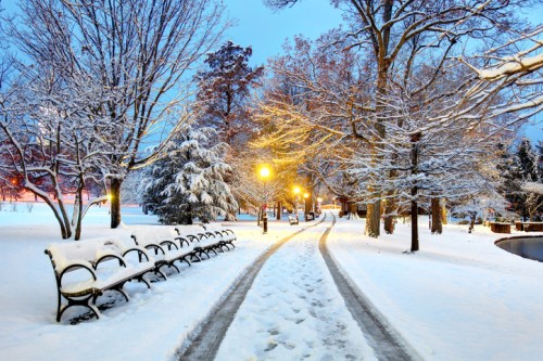 A snowy park path lined with benches and trees, illuminated by streetlights in a serene winter scene.