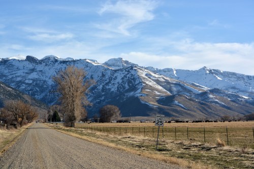 Gravel road leading to snow-capped mountains under a blue sky, with a speed limit sign and trees along the roadside.