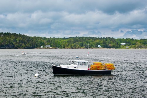 A black and white boat with lobster traps floats in a calm bay, surrounded by green trees and cloudy skies.