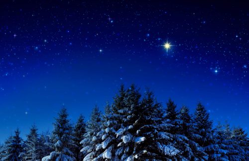 A snowy forest under a starry night sky, featuring a bright star shining among the twinkling stars.