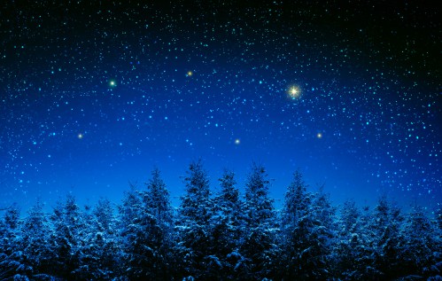 A starry night sky above a snowy forest, with twinkling stars and a deep blue backdrop.
