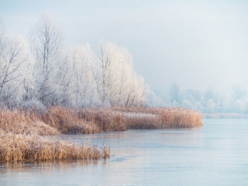 Frost-covered trees and reeds line a calm, icy river under a soft blue sky.