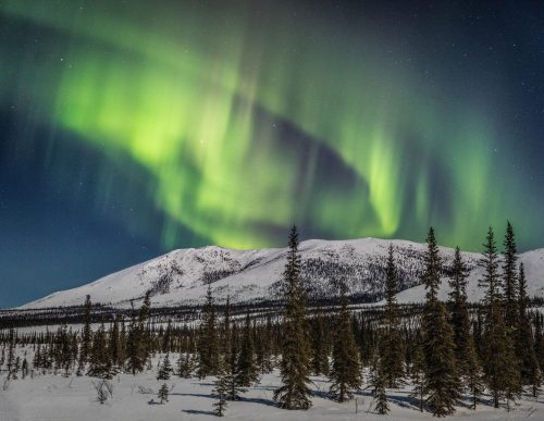 A stunning display of the northern lights illuminates the night sky over snow-covered mountains and evergreen trees.
