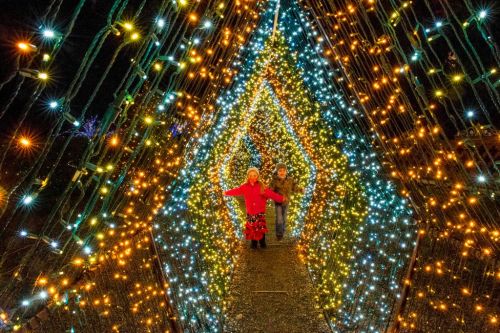 Two children joyfully walk through a tunnel of colorful holiday lights, surrounded by sparkling decorations.