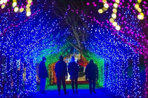 Silhouetted figures stand under a vibrant, colorful light display in a festive tunnel at night.