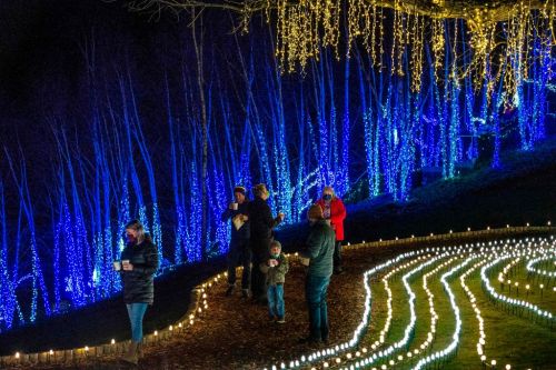 People walking along a path illuminated by candles and blue lights in a nighttime outdoor setting.