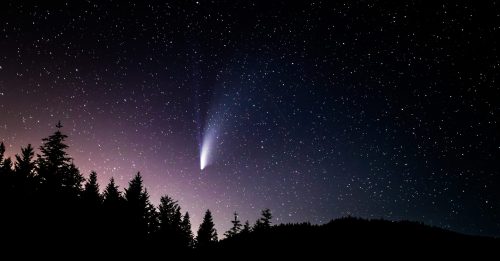 A comet streaks across a starry night sky, silhouetted by dark trees in the foreground.