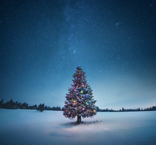 A brightly lit Christmas tree stands alone in a snowy field under a starry night sky.