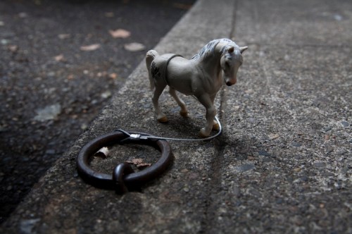 A small white toy horse stands on a concrete surface next to a metal ring attached to a chain.