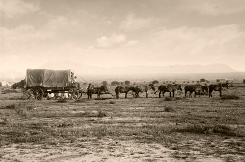 A vintage scene of a covered wagon pulled by horses in a vast, open landscape with mountains in the background.