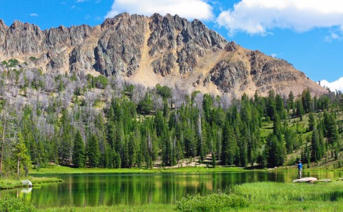 A serene lake surrounded by lush green trees and a rugged mountain backdrop under a blue sky with fluffy clouds.