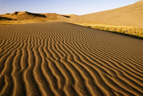 Wavy patterns in golden sand dunes under a clear blue sky, with gentle hills in the background.