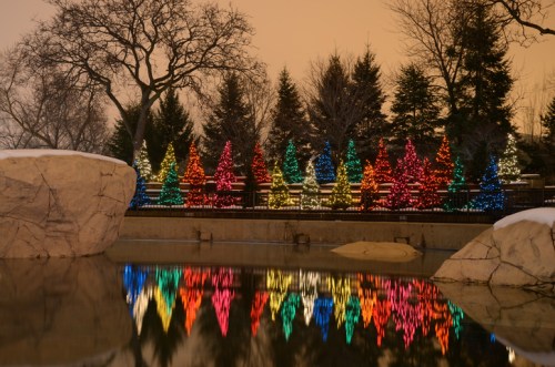 Colorful Christmas trees adorned with lights reflect in a calm water surface, surrounded by snow and bare trees.