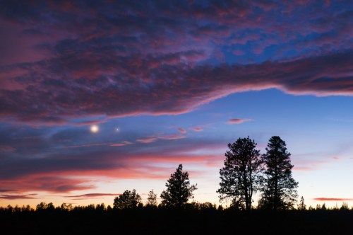 Silhouetted trees against a vibrant sunset sky with colorful clouds and two bright celestial bodies.