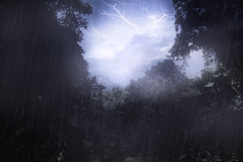 A dark, stormy sky with lightning over a dense forest, rain falling and creating a misty atmosphere.