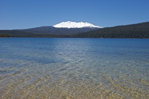 A clear lake with a snowy mountain in the background under a blue sky, surrounded by lush green forests.