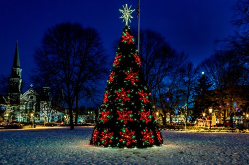 A beautifully lit Christmas tree adorned with red stars stands in a snowy park at night, with buildings and trees in the background.