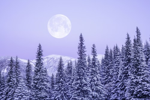 A full moon illuminates a snowy landscape, surrounded by tall evergreen trees and distant mountains under a purple sky.