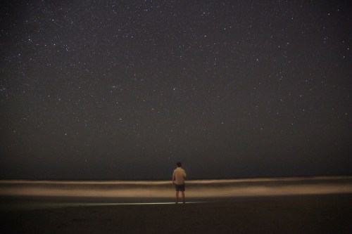 A person stands on a beach at night, gazing up at a starry sky with gentle waves lapping at the shore.