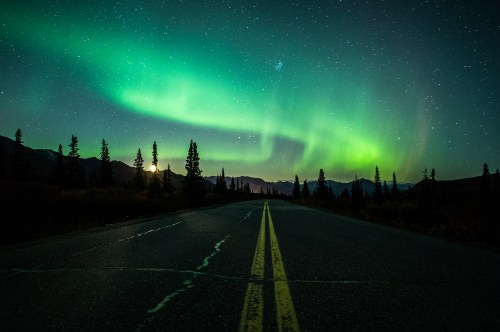 A serene road under a starry sky, illuminated by vibrant green auroras and silhouetted trees along the horizon.