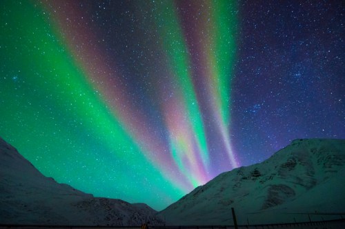 Vibrant auroras dance across a starry night sky over snow-covered mountains.