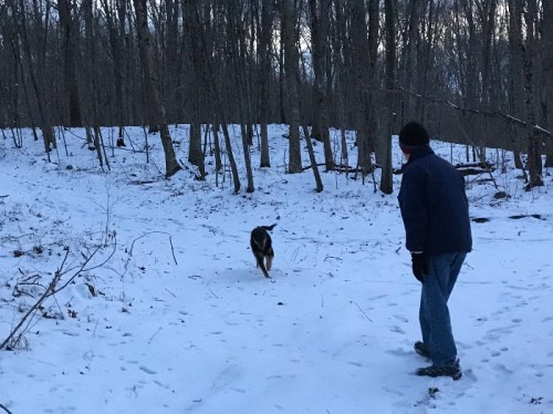 A person in winter clothing stands in a snowy forest, watching a dog running towards them through the trees.