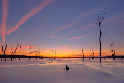 Silhouetted trees stand in a frozen landscape at sunset, with vibrant pink and orange clouds in the sky.