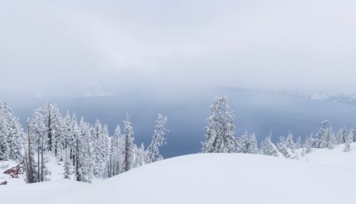 A snowy landscape with tall trees and a foggy view of a lake in the distance, creating a serene winter scene.