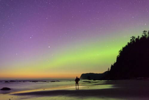 A person stands on a beach under a vibrant aurora borealis and starry sky, with a forested hillside in the background.