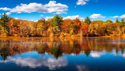 A serene lake reflecting vibrant autumn trees and a blue sky with fluffy clouds.