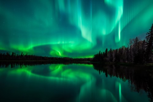 Vibrant green auroras dance across the night sky, reflecting on a calm lake surrounded by trees.