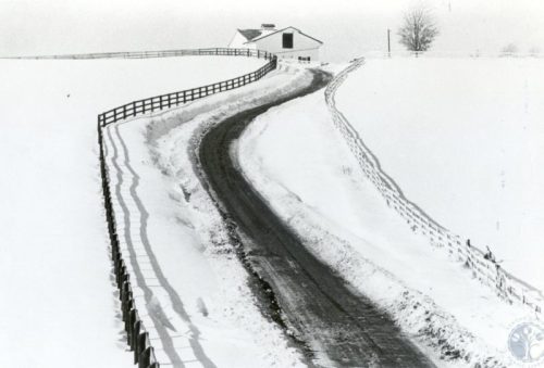 A winding road through a snowy landscape, leading to a house surrounded by a wooden fence.