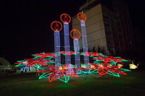 Colorful holiday lights shaped like flowers and candles illuminate a grassy area at night.