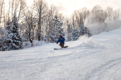 A skier in a blue jacket glides down a snowy slope, kicking up powder against a backdrop of trees.