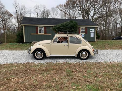 A beige Volkswagen Beetle drives past a green house, topped with a Christmas tree, on a gravel path.